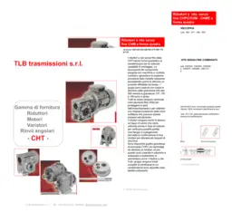 depliant TLB Trasmissioni - gamma di riduttori, motori e rinvii angolari per applicazioni industriali